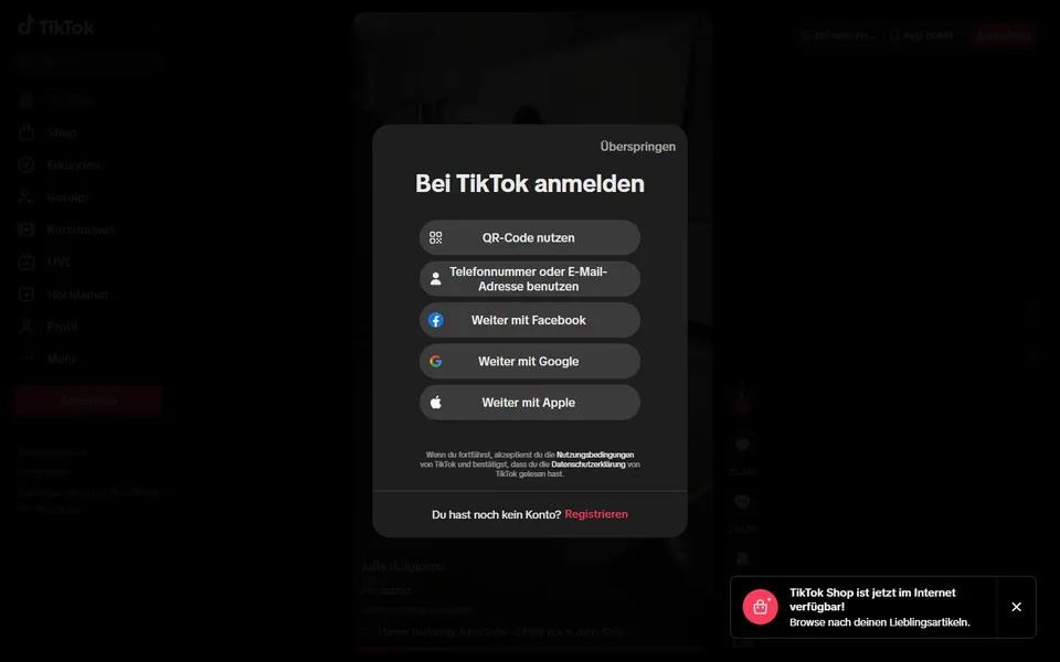 TikTok – Ansicht der Anbieter-Website