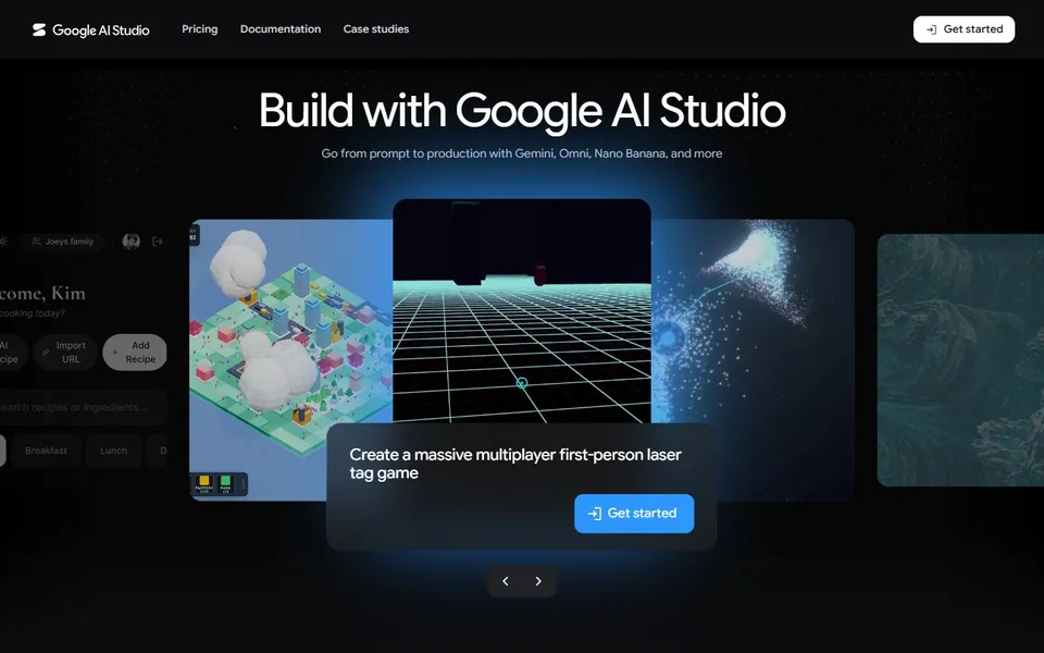 Google AI Studio – Ansicht der Anbieter-Website