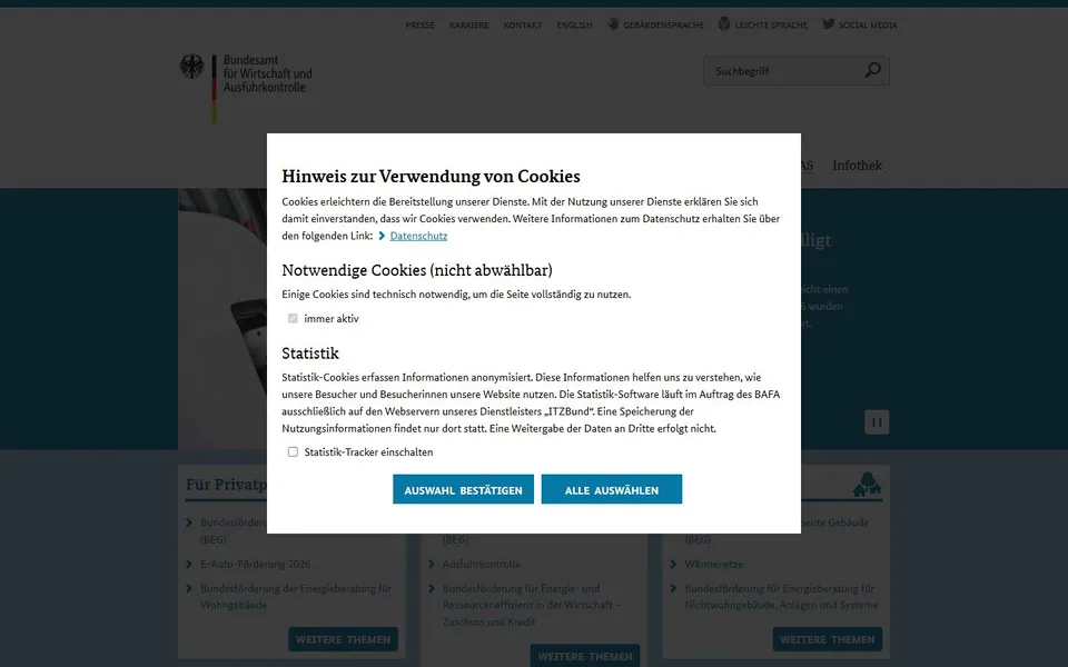 BAFA – Ansicht der Anbieter-Website