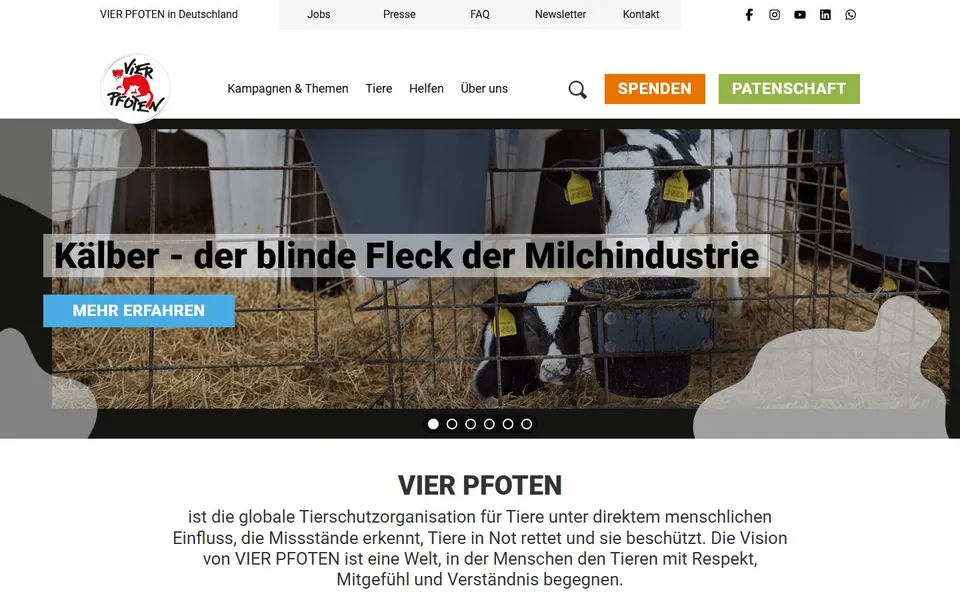 Vier Pfoten – Ansicht der Anbieter-Website