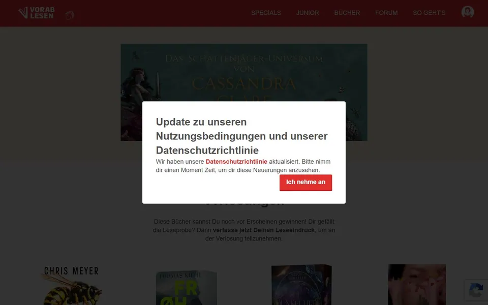 Vorablesen – Ansicht der Anbieter-Website