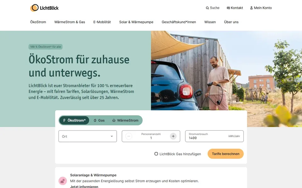 LichtBlick – Ansicht der Anbieter-Website