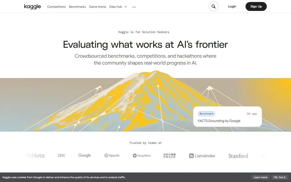 Kaggle – Ansicht der Anbieter-Website