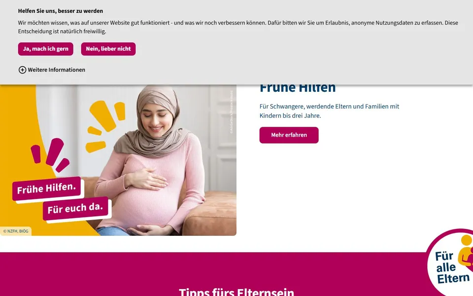 Elternsein.info – Ansicht der Anbieter-Website